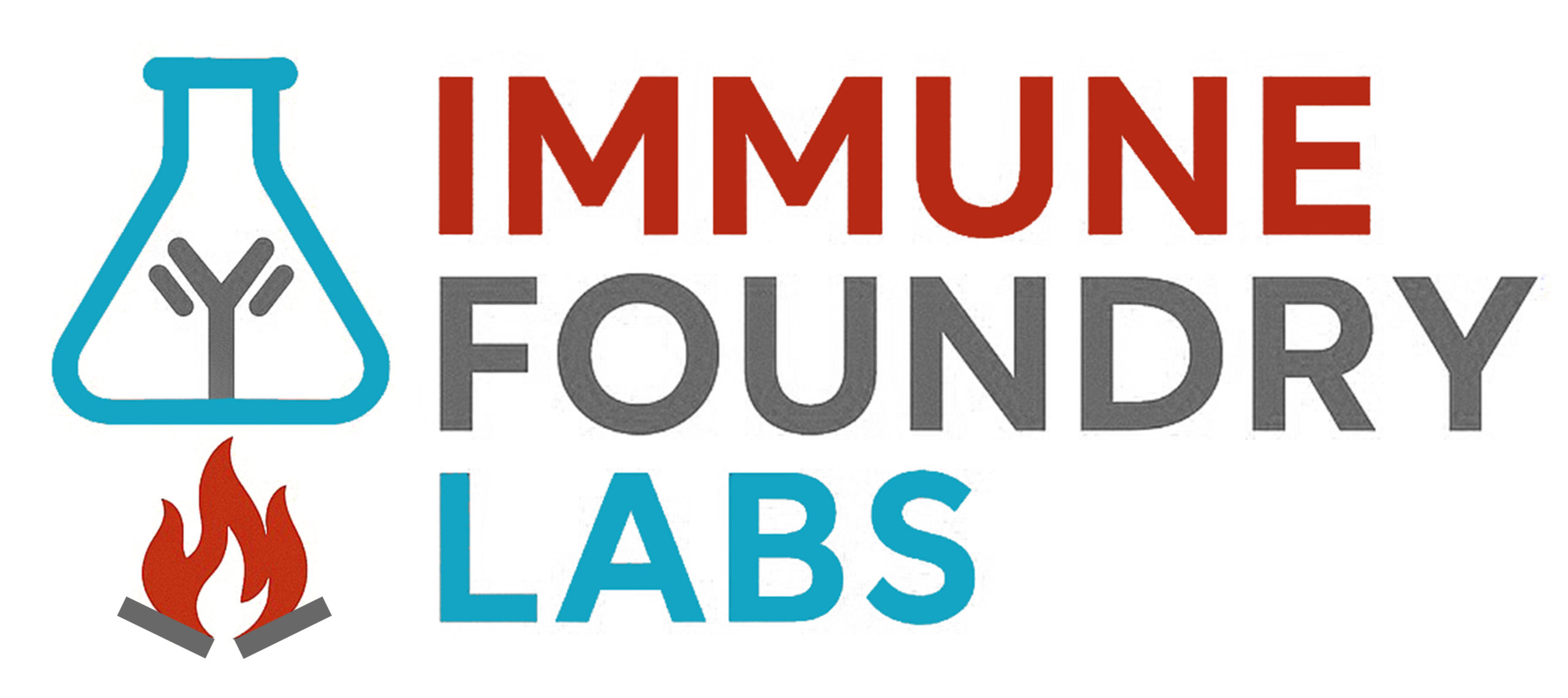 Engineering Biomaterials to Modulate Immunity